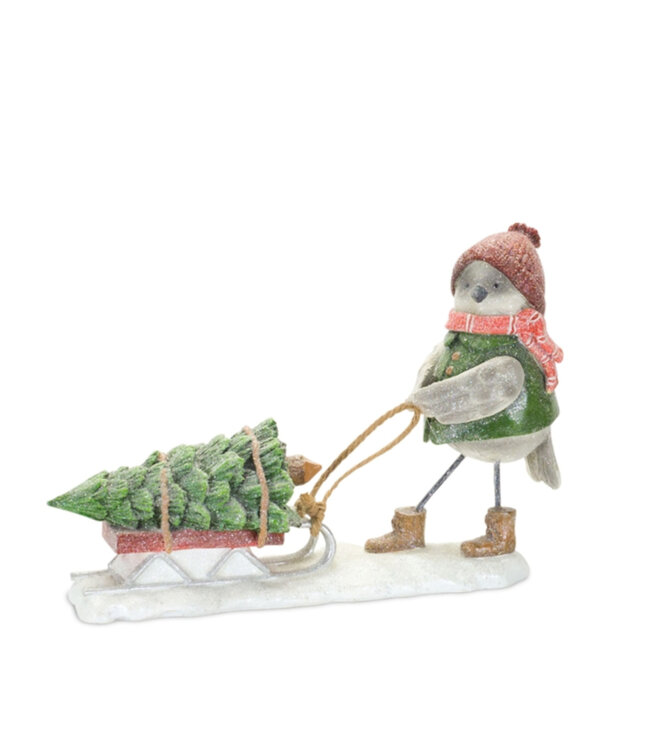 Oiseau avec traineau