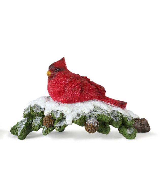 Cardinal sur branche enneigée