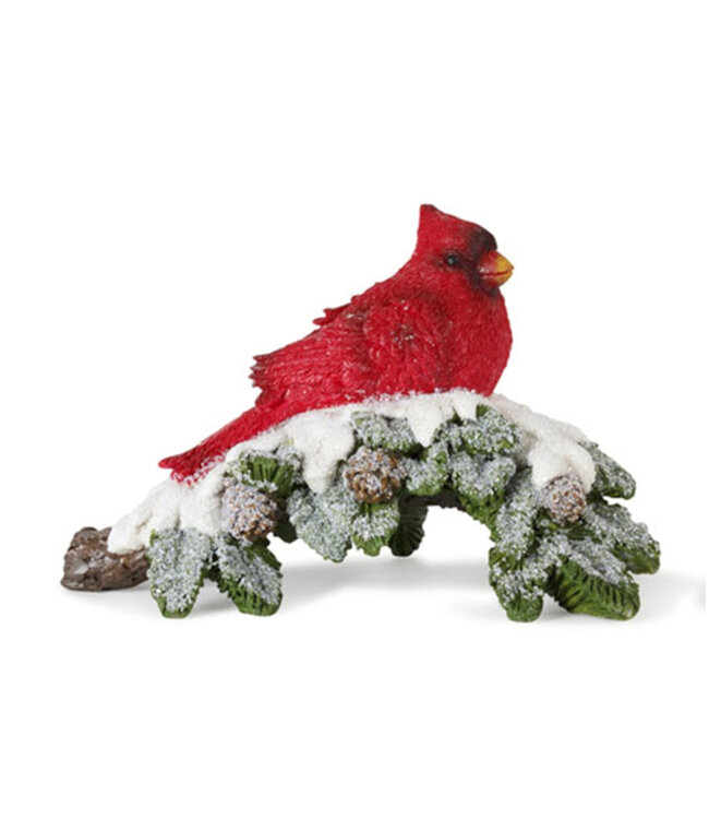 Cardinal sur branche enneigée