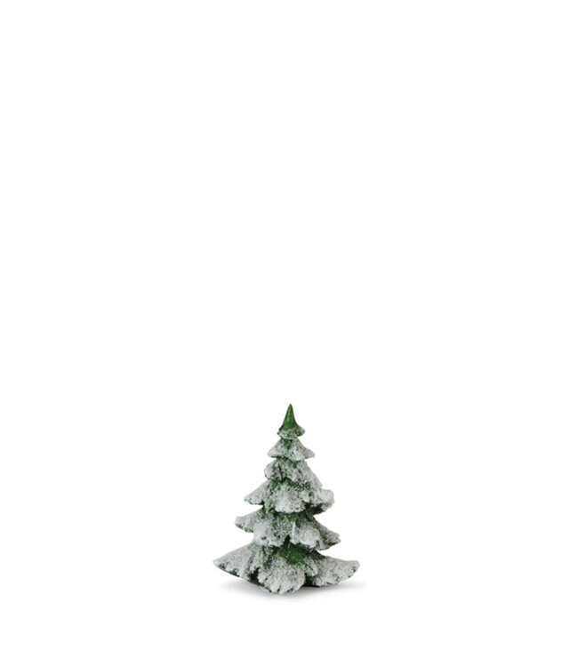 Sapin vert enneigé