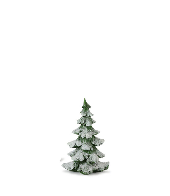 Sapin vert enneigé