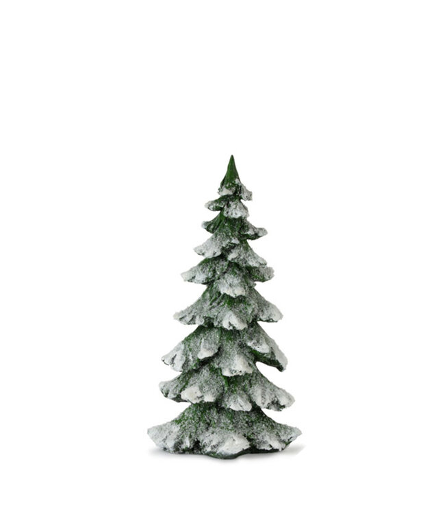 Sapin vert enneigé