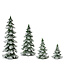 Sapin vert enneigé