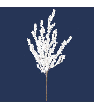 Tige de baies blanches