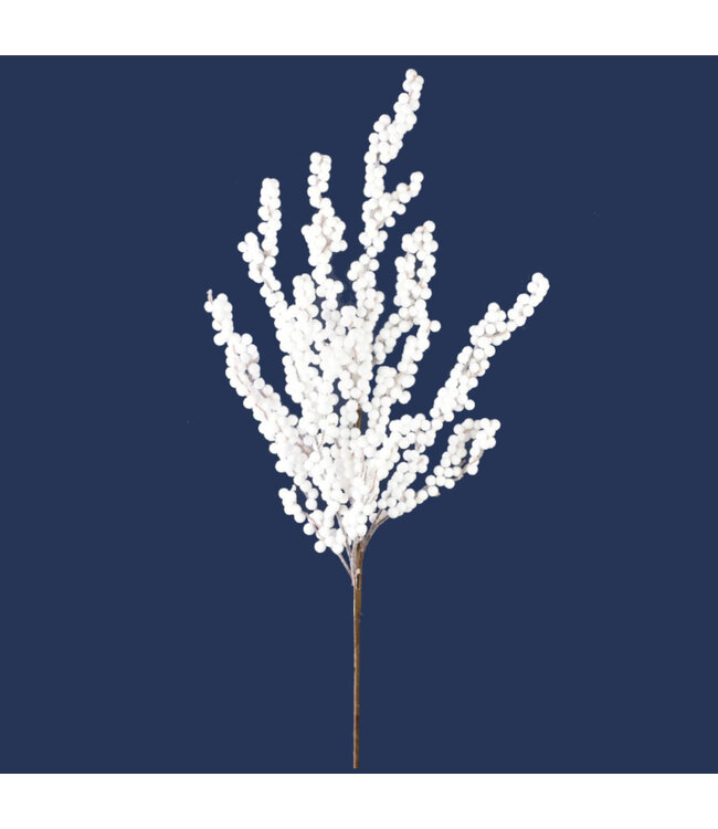 Tige de baies blanches