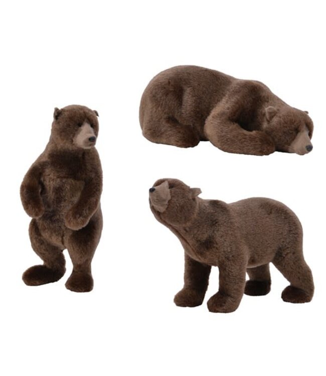 Ours brun