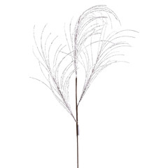 Tige de pin blanc en fouet