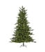 Sapin Newport illuminé