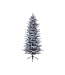 Sapin Grandis givré