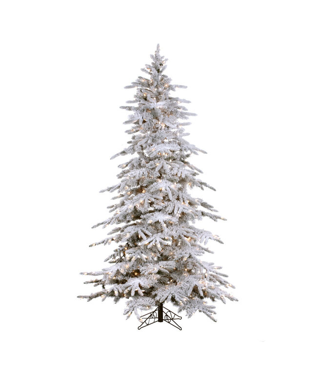 Sapin Balsam enneigé illuminé