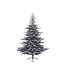 Sapin Grandis fin givré