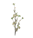 Tige fleuri "Blossom" blanche