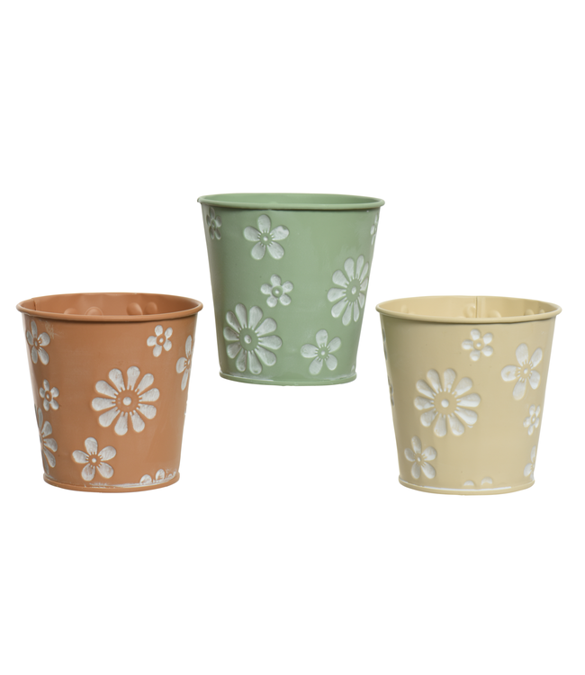 Cache-pot terra avec fleurs 4 po