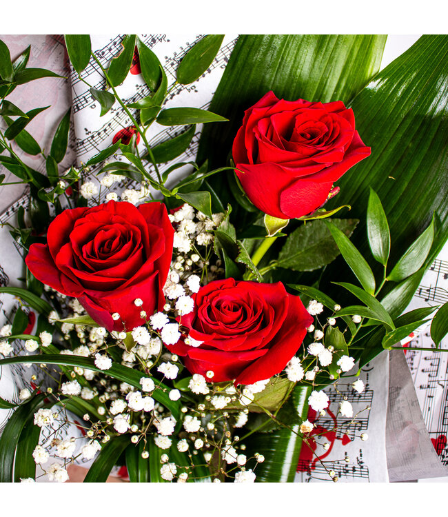 La mélodie du bonheur