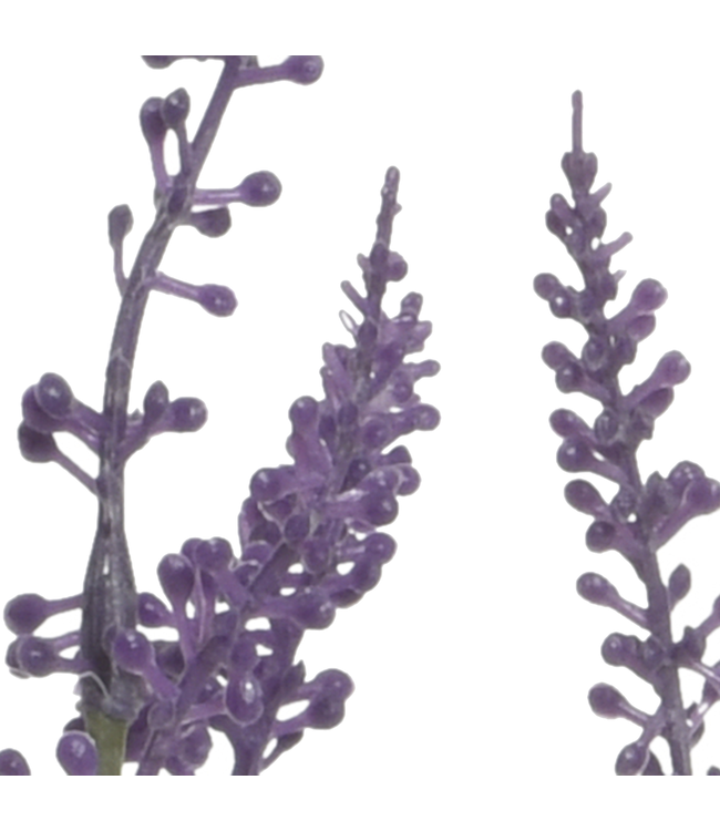 Lavande artificielle