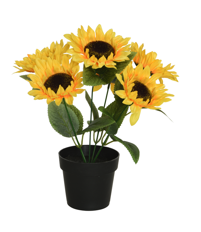 Tournesol artificiel