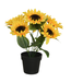 Tournesol artificiel