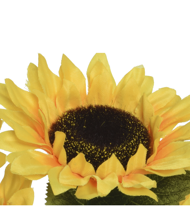 Tournesol artificiel