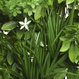 Mur végétal artificiel et fleurs blanches