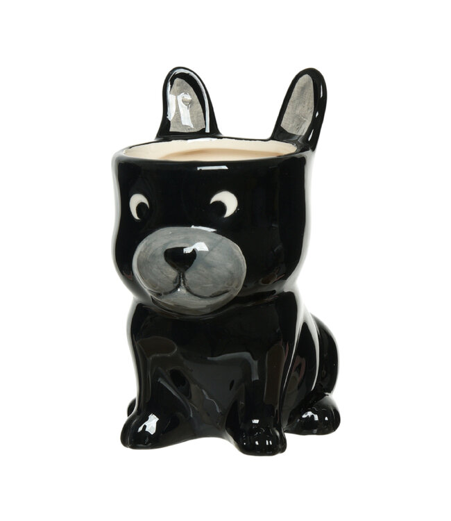 Cache-pot Chien | Une Touche de Charme et de Fantaisie pour Vos Plantes