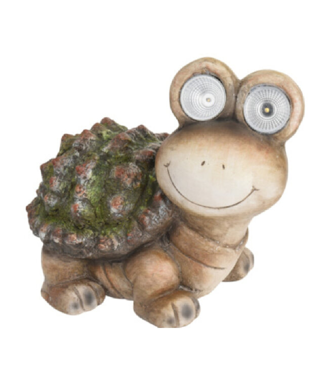 Tortue avec yeux solaire
