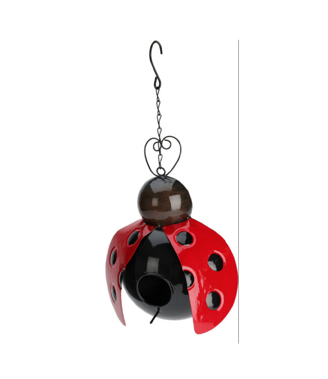 Nichoir à insectes coccinelle 10 po