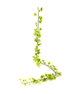 Guirlande lierre de jardin verte pâle 6 pi