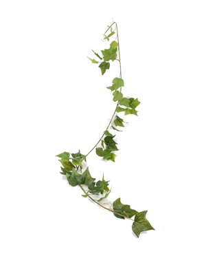 Guirlande de lierre rampant vert 6 pi