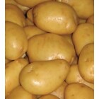 patates yukon gold 5 lbs