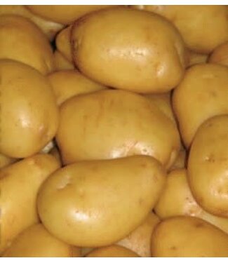 patates yukon gold 5 lbs