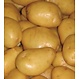 patates yukon gold 5 lbs