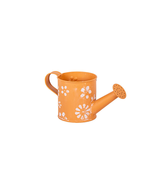 Arrosoir en métal terra avec fleurs