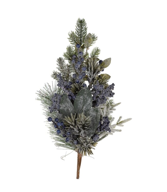 Tige de verdure et baies bleues givrée | Élégance hivernale