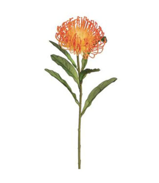 Tige de protea orange 26 po