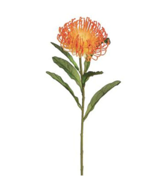 Tige de protea orange 26 po
