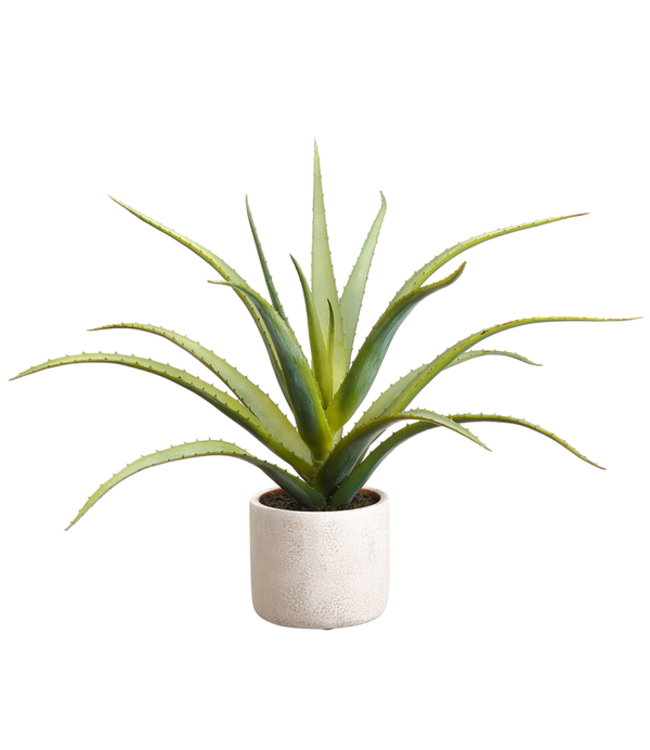 Aloès artificiel pot ciment 17 po
