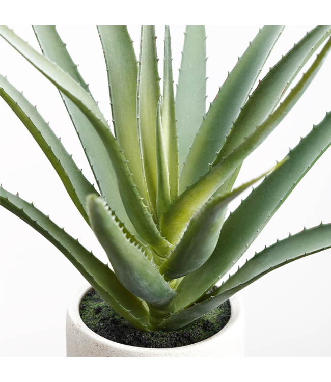 Aloès artificiel pot ciment 17 po