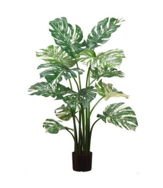 Monstera vert et crème artificiel 4 pi