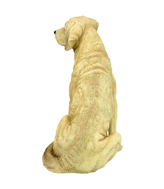 Chien Golden Retriever 15,5 po