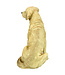 Chien Golden Retriever 15,5 po