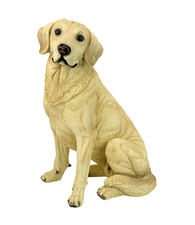 Chien Golden Retriever 15,5 po