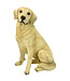 Chien Golden Retriever 15,5 po