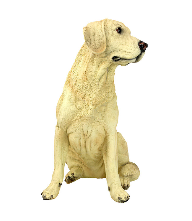 Chien Golden Retriever 15,5 po