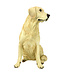 Chien Golden Retriever 15,5 po