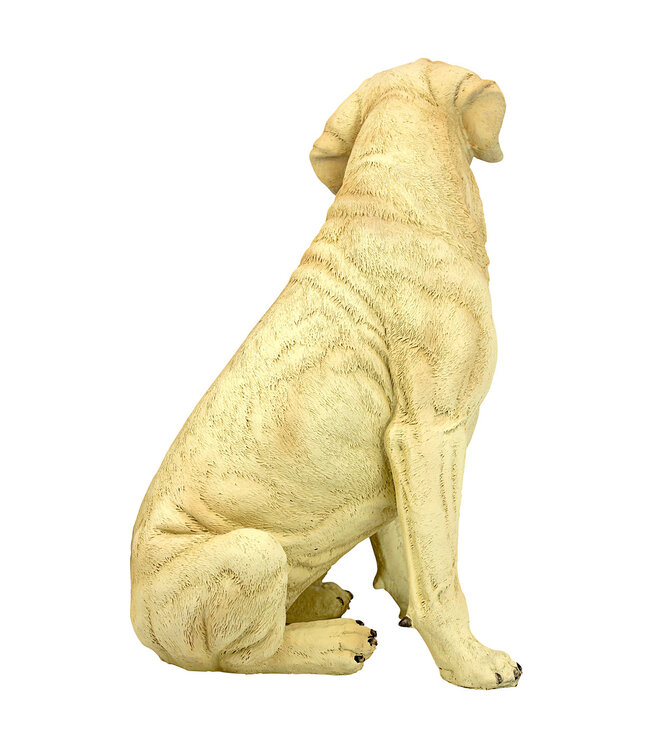 Chien Golden Retriever 15,5 po