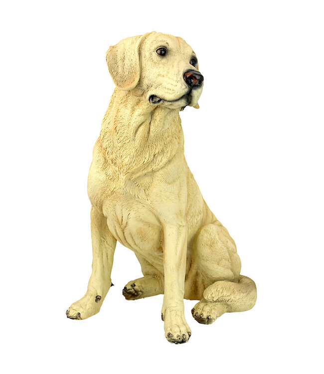 Chien Golden Retriever 15,5 po