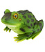 Grenouille 9,5 po