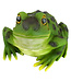 Grenouille 9,5 po