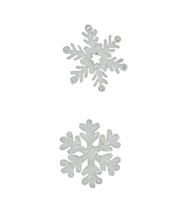 Ornement flocon blanc 5 po ( 2ass.)