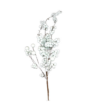 Tige de baies bleu pâle